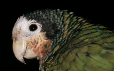 WWF: Nur zehn Prozent für die kommenden Generationen