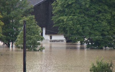 WWF-Hochwasserstudie wird Wirklichkeit