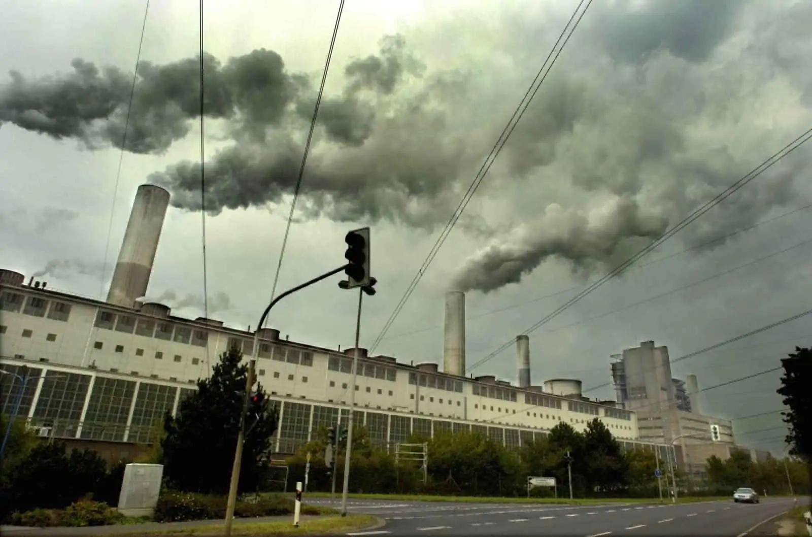 energie, © by ©Andrew Kerr_WWF-Canon.jpg energie, © by ©Andrew Kerr_WWF-Canon.jpg