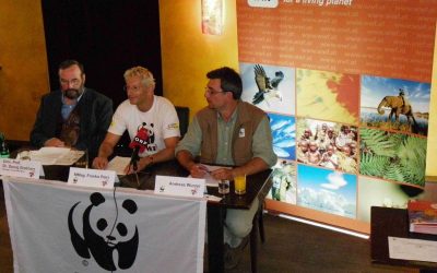 WWF warnt: Flussjuwele Vorarlbergs durch Kraftwerke bedroht