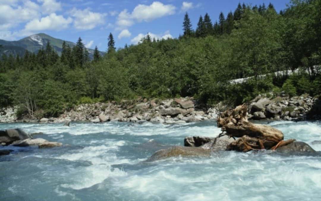WWF-Ausstellung „Mythos Wasserkraft“ in Salzburg