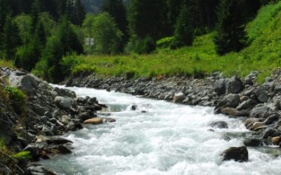 WWF zur Kleinwasserkraft: Small is NOT beautiful