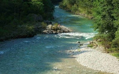 WWF zum Weltfeuchtgebietstag 2013: