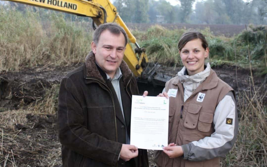 Baggern für die Au: Moorfrosch & Co atmen auf