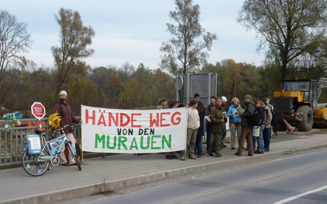 Advent in der Au: Sternwanderung für die Rettung der Mur