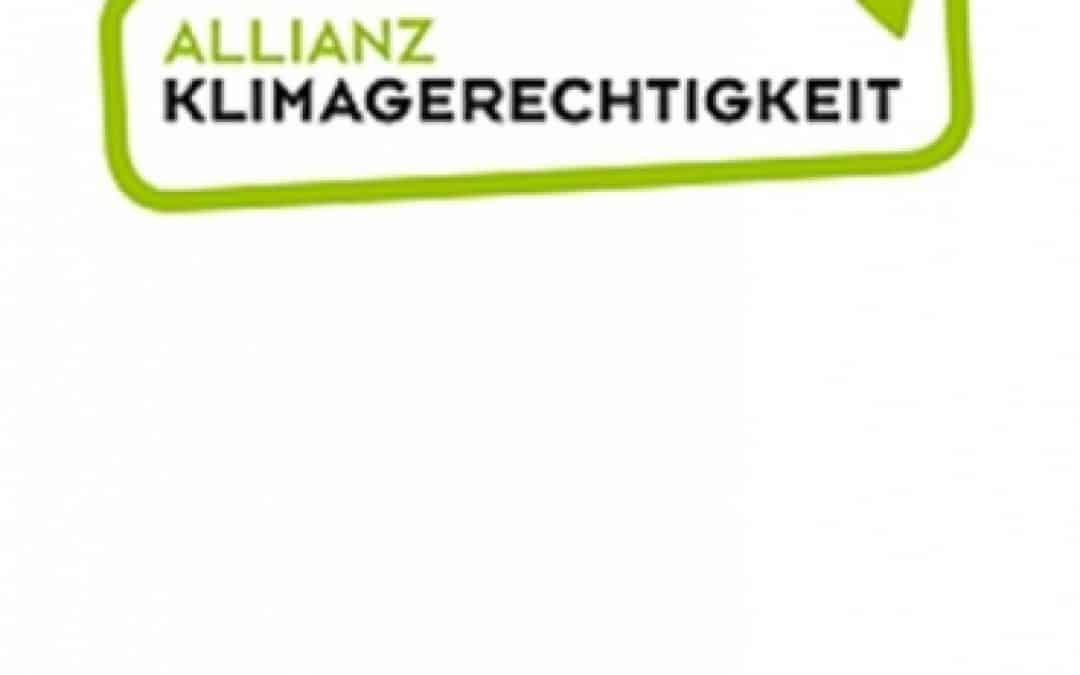 Klimaallianz Österreich: Erfolgsfaktoren für den Weltklimavertrag