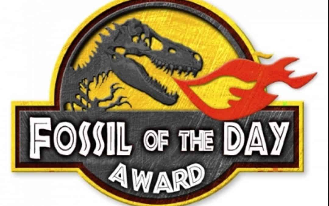 Österreich erhält internationalen Negativpreis für Blockade der Klima-Verhandlungen in Kopenhagen