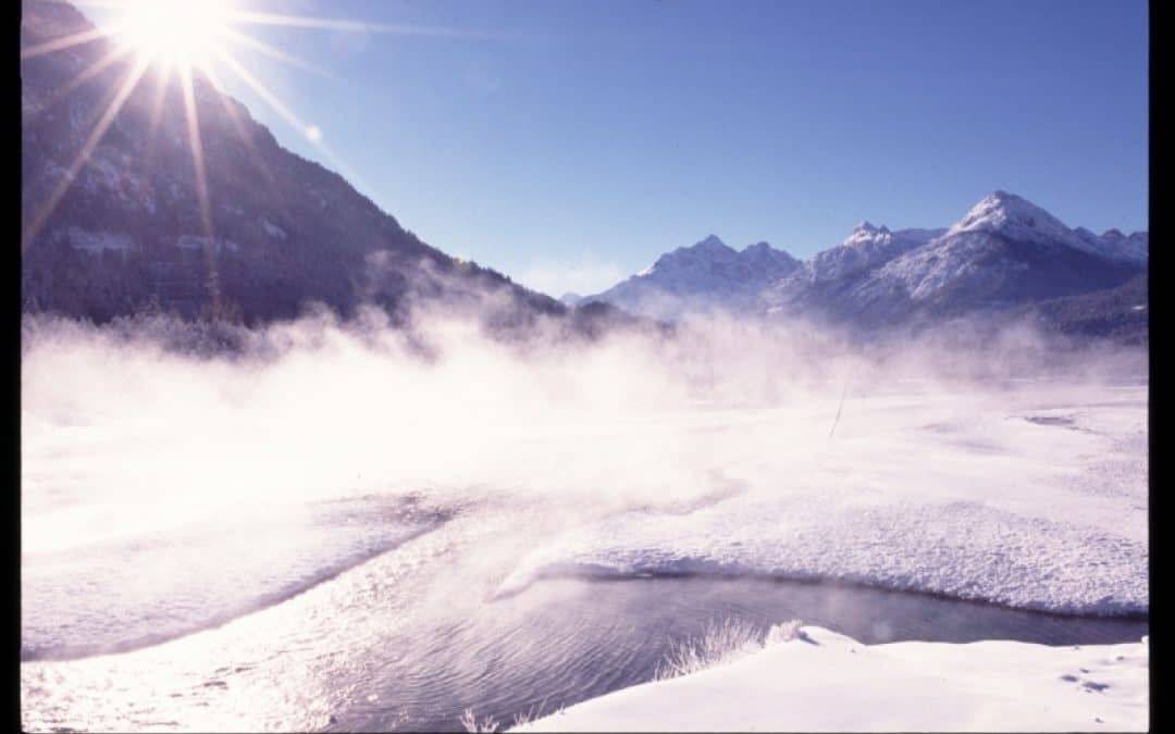 WWF an ÖBB: Neue Führung muss Notbremse ziehen