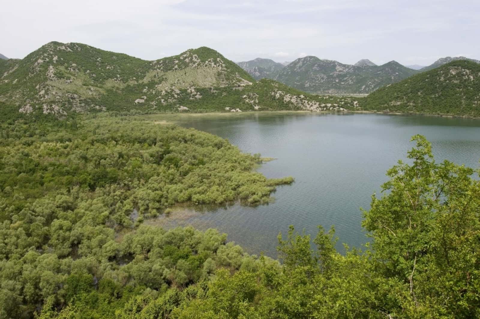 Skutari-See in Montenegro