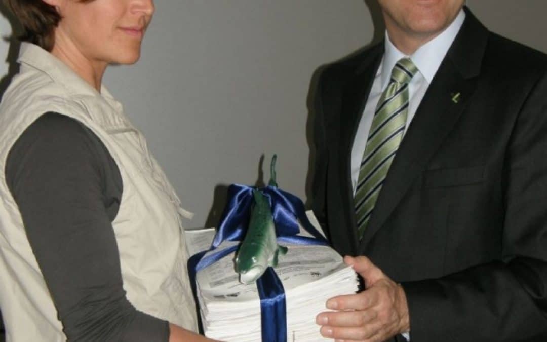 Stopp der Kraftwerksflut!