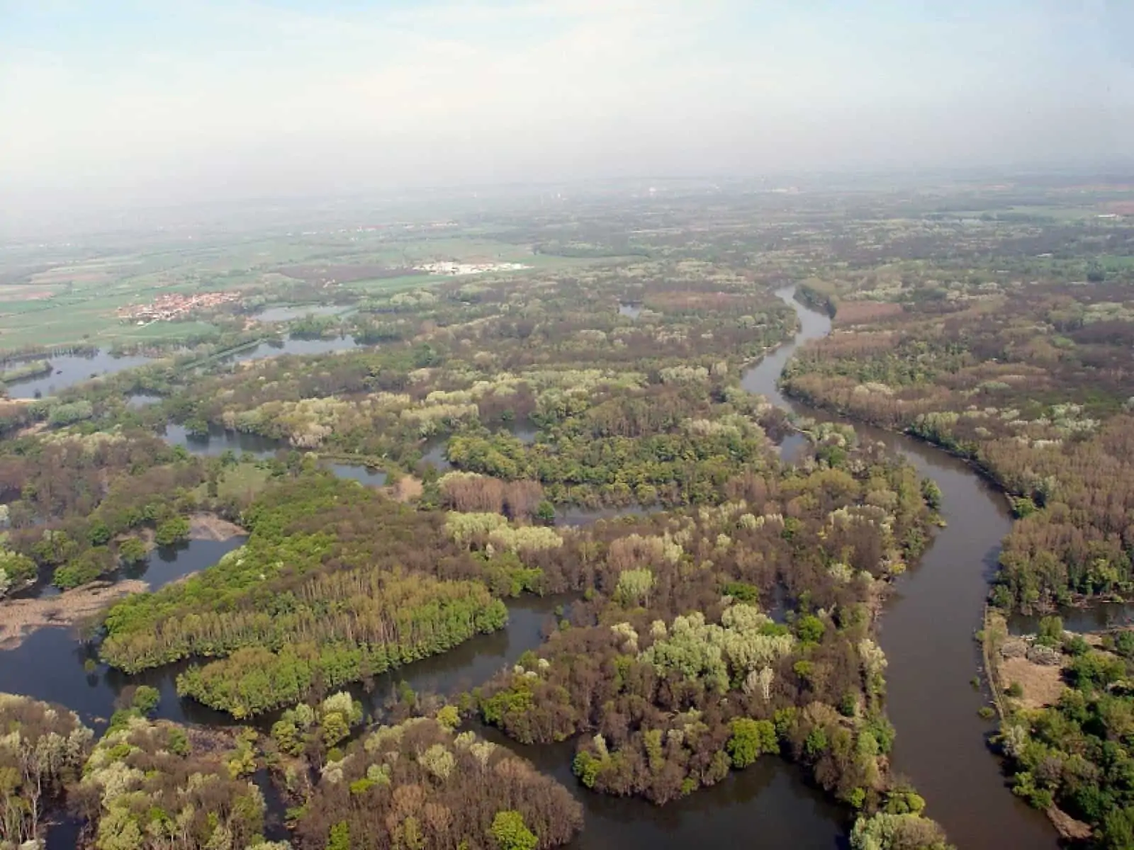 Auenreservat Marchegg, © by M.Denner Auenreservat Marchegg, © by M.Denner