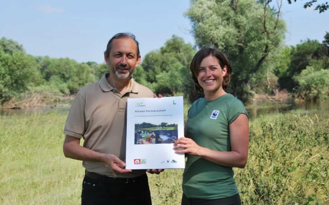 Lokalaugenschein: Amphibienschutzprojekt in den March-Thaya-Auen zeigt erste Erfolge