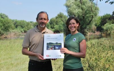 Lokalaugenschein: Amphibienschutzprojekt in den March-Thaya-Auen zeigt erste Erfolge