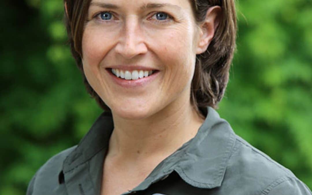 Scharfe Kritik von Hilfsorganisationen an Gesetzesentwurf zu Spendenabsetzbarkeit