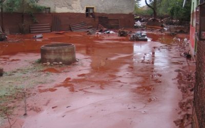 Giftschlamm in Ungarn: WWF befürchtet schlimmere Umweltauswirkungen als nach Baia Mare-Katastrophe