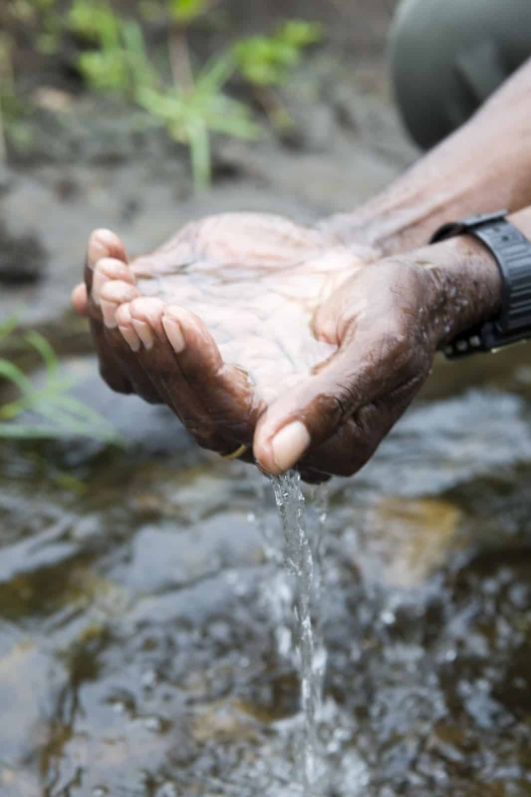 Wasser