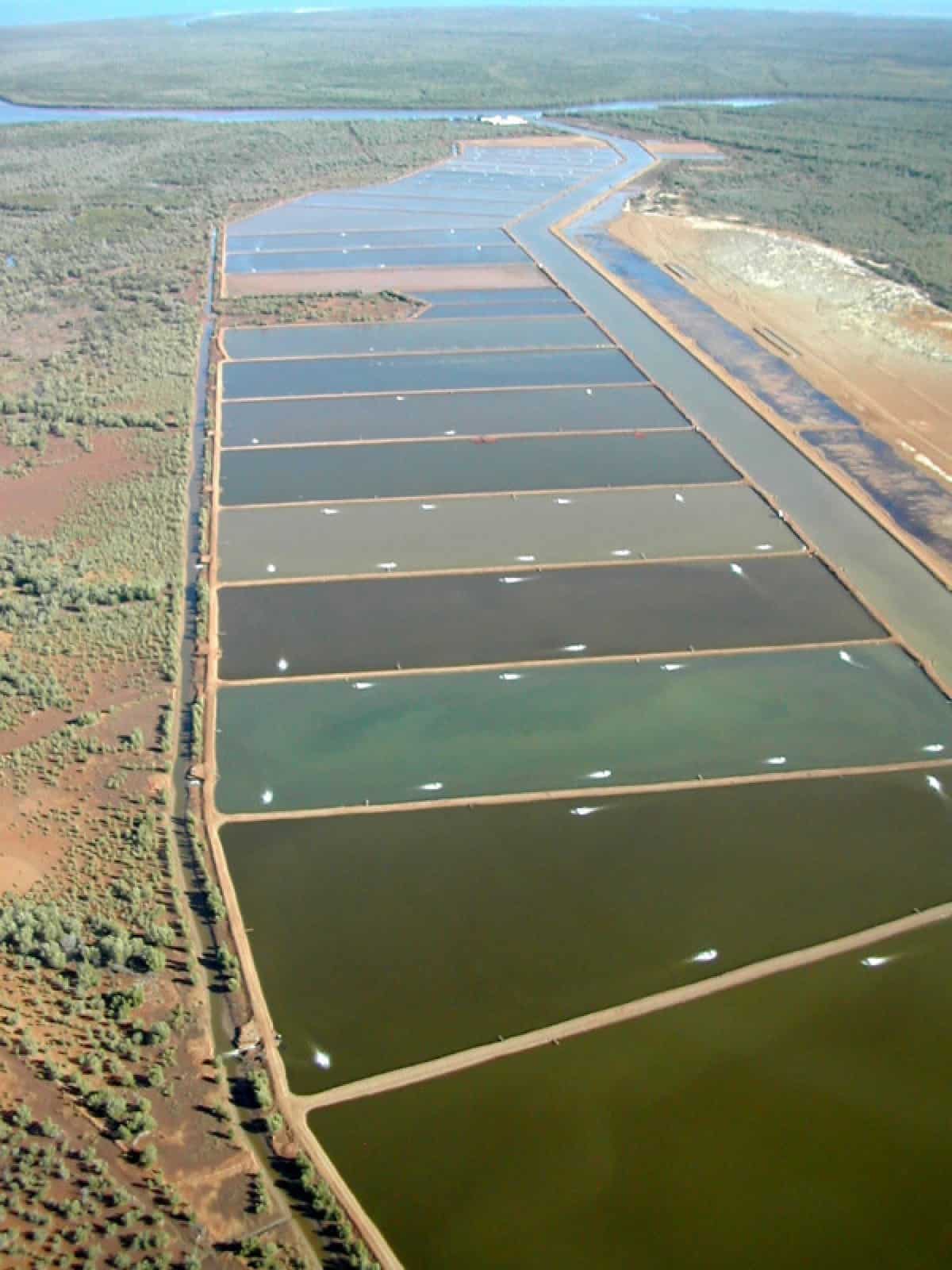 Shrimpsfarm, © by WWF Madagascar/WWF-Canon Shrimpsfarm, © by WWF Madagascar/WWF-Canon