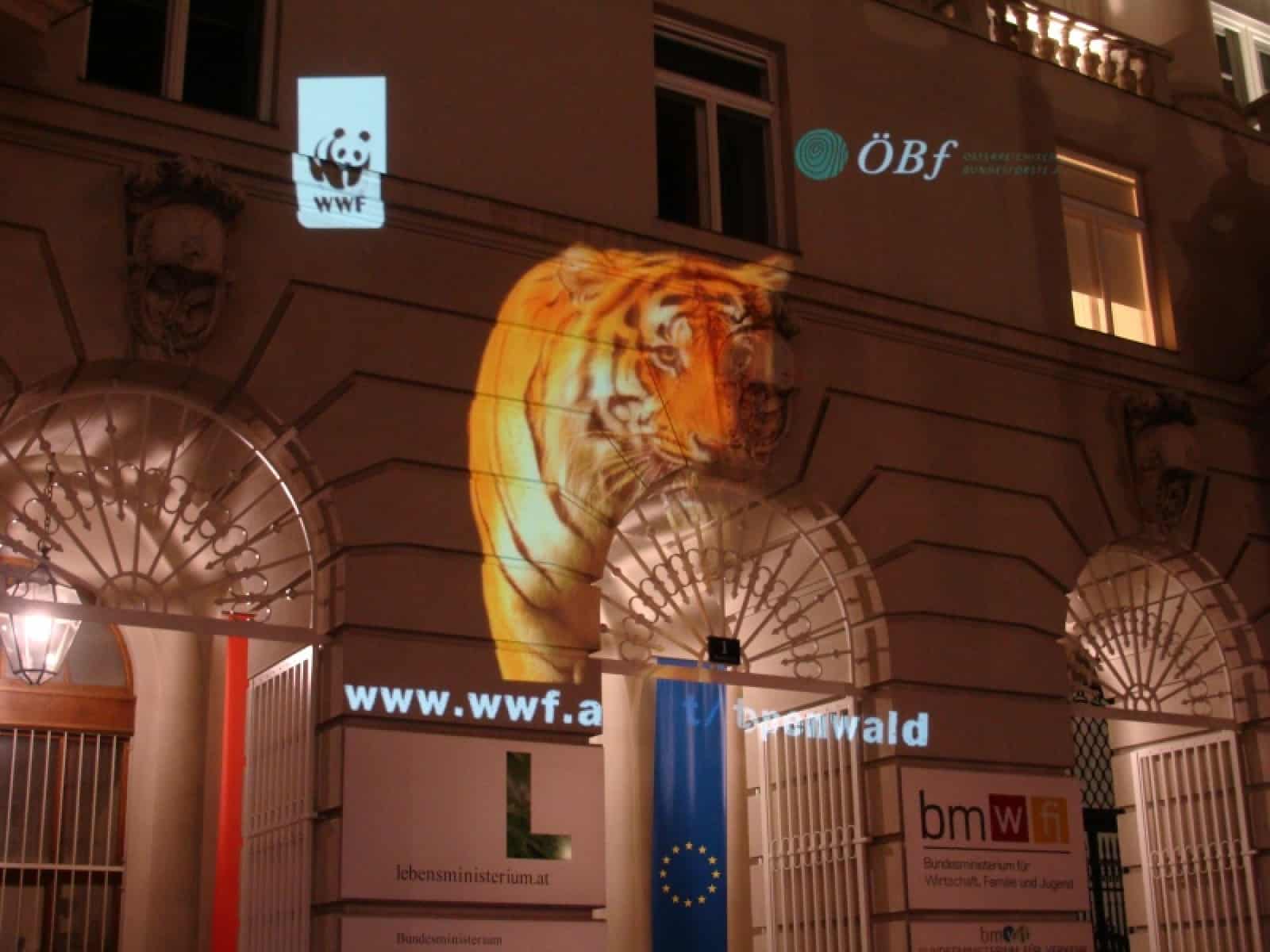 Running Tiger in Wien, © by Franko Petri/WWF Running Tiger in Wien, © by Franko Petri/WWF