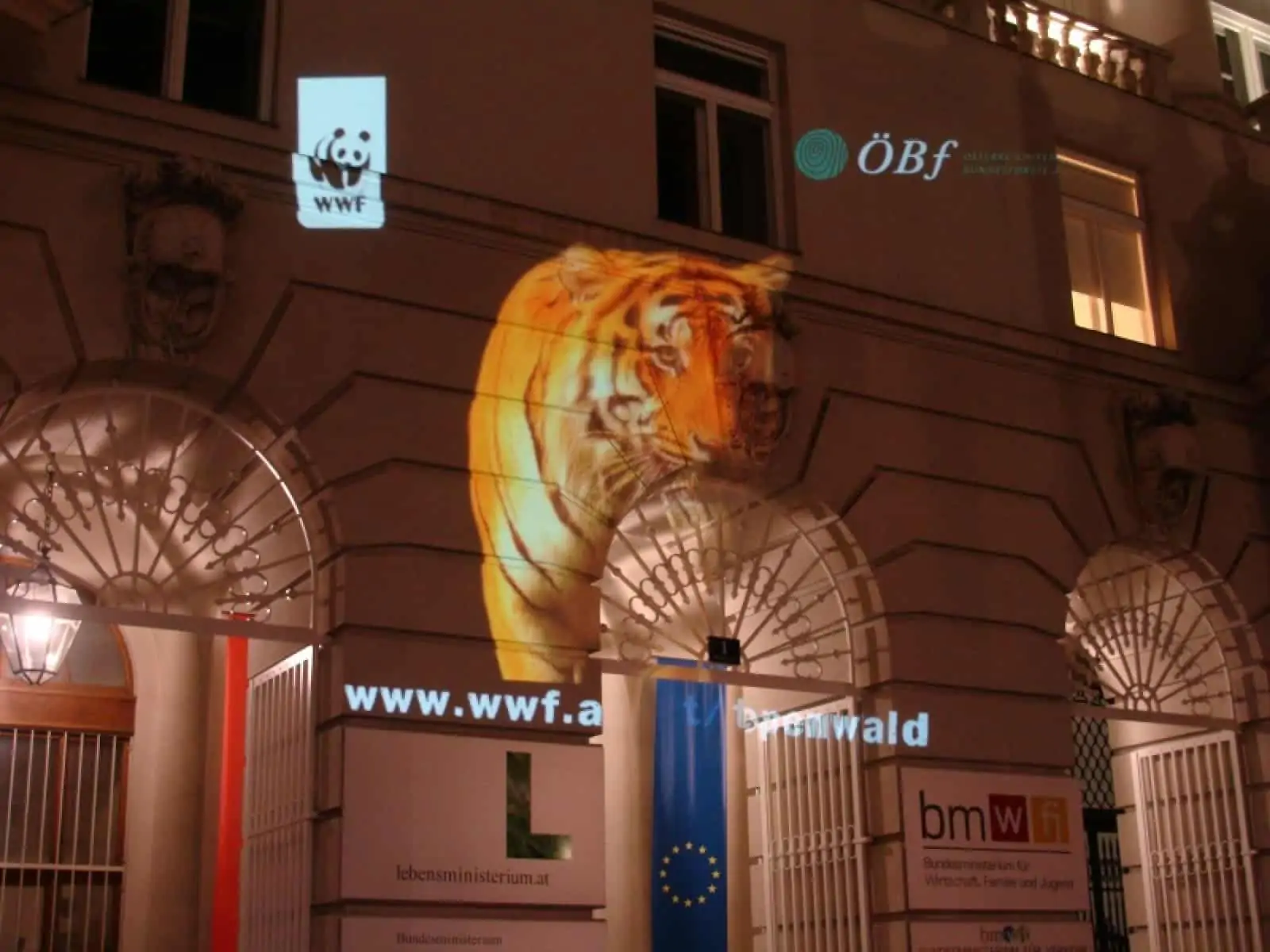 Running Tiger in Wien, © by Franko Petri/WWF Running Tiger in Wien, © by Franko Petri/WWF
