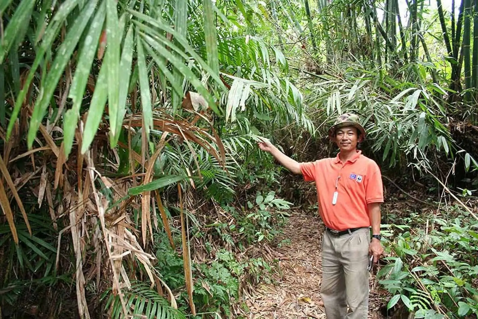 Rattan, Vietnam, © by WWF Schweiz / Simone Stambach Rattan, Vietnam, © by WWF Schweiz / Simone Stambach