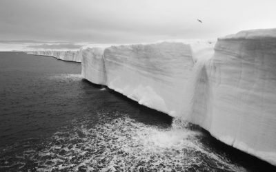 Gewissenlose Verweigerungshaltung mancher Staaten in Durban