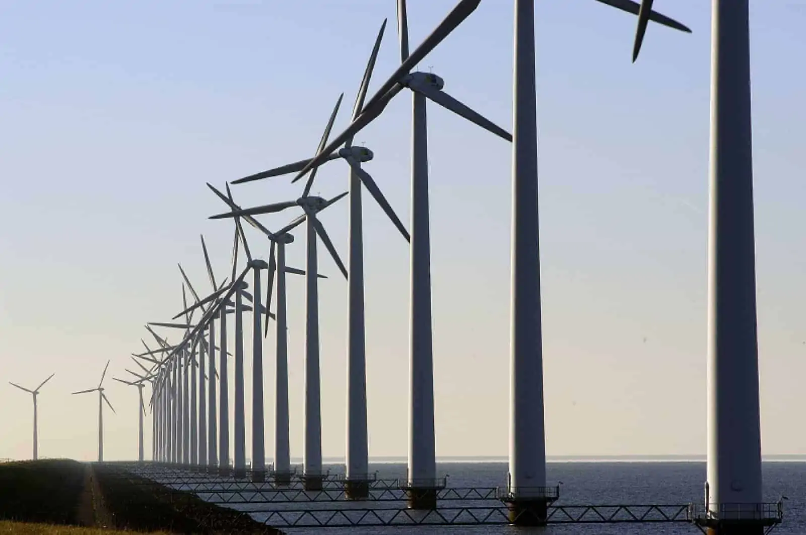 Windpark, © by WWF-Canon/Michel Gunther