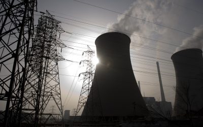 WWF unterstützt Atomausstieg Jetzt!