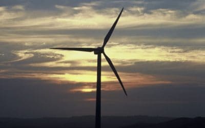 Weltwindtag: 30 Länder weltweit feiern die Windenergie