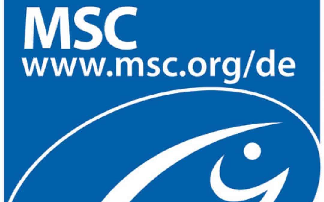 Morgen Samstag ist der Tag der Fische: 4 Videos zum Download