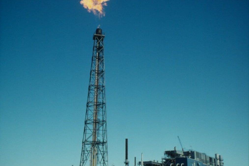 WWF: Gasbohrungen bedrohen das Leben im östlichen Mittelmeer