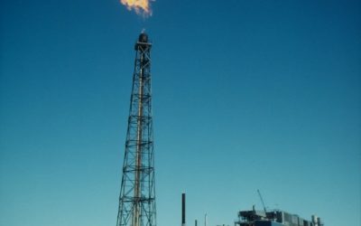 WWF: Gasbohrungen bedrohen das Leben im östlichen Mittelmeer