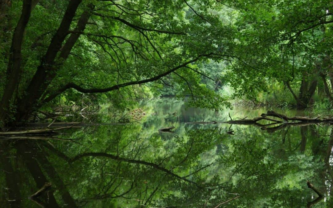 WWF und Hofer Reisen setzen ab Mai auf die umweltschonende Entdeckung von Naturschönheiten in Österreich und Osteuropa