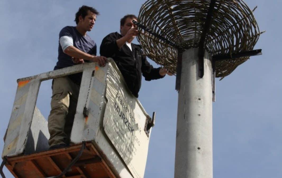 Dürnkrut holt sein Storchenpaar zurück