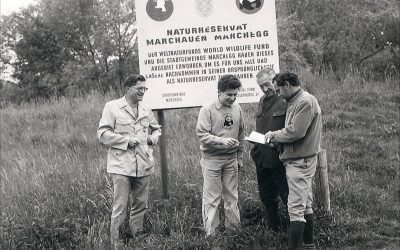 WWF feiert morgen ein halbes Jahrhundert Naturschutz