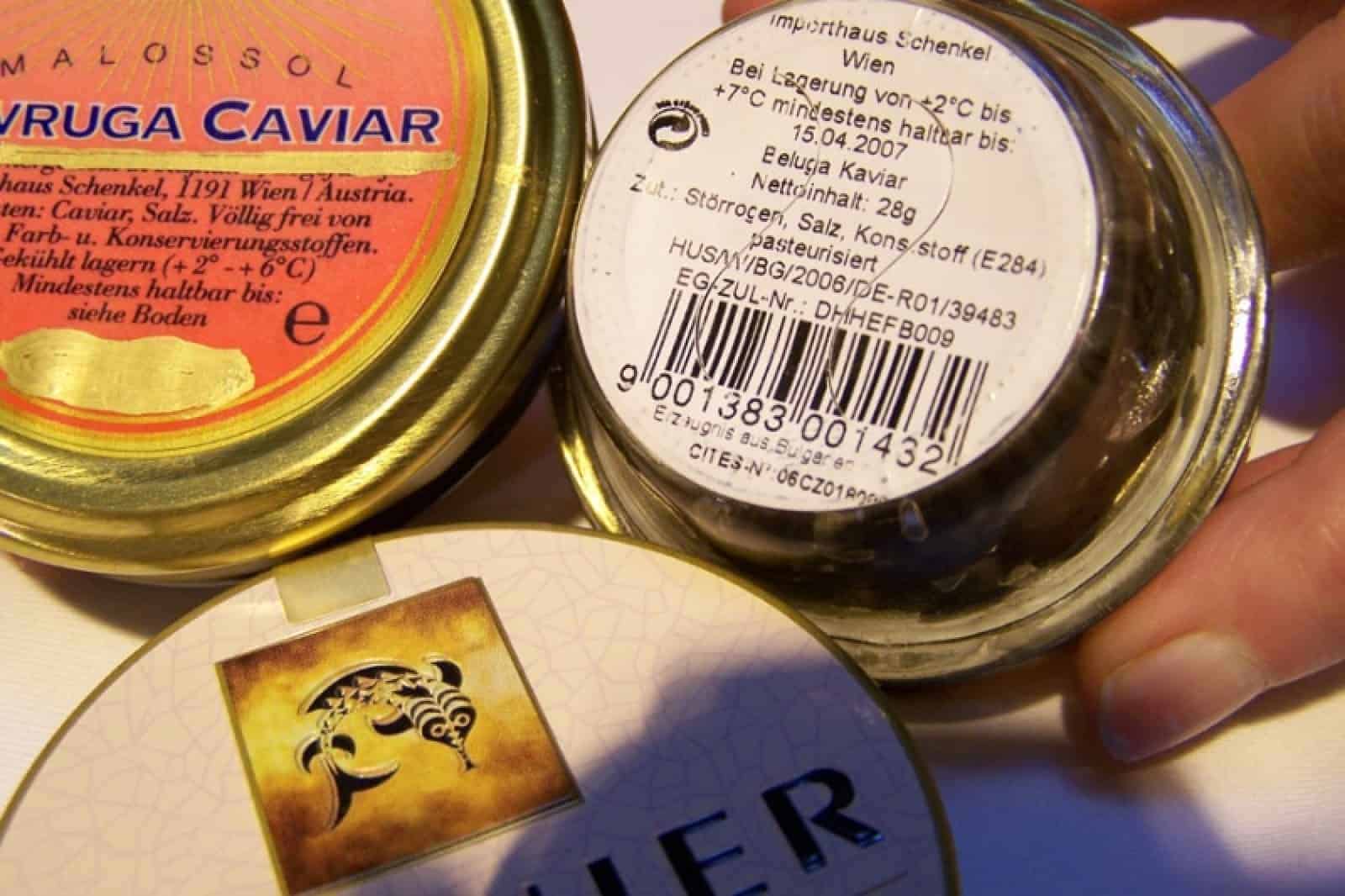 caviar, © by ©David AYKLER