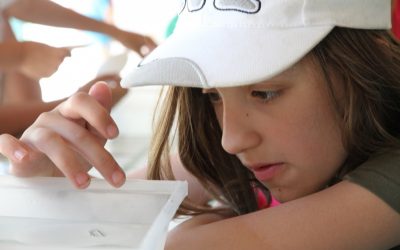 Wissenschaft auf Wanderschaft: Schulklassen erforschen die Grenzen im Seewinkel