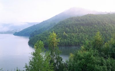 Sieben Staaten beschließen heute Schutz für Europas letzte Urwälder