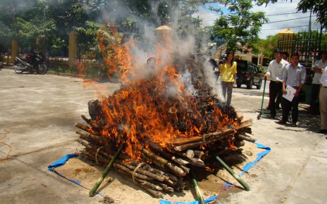 WWF-Ranger zerstören 8.000 tödliche Schlingfallen in Vietnam
