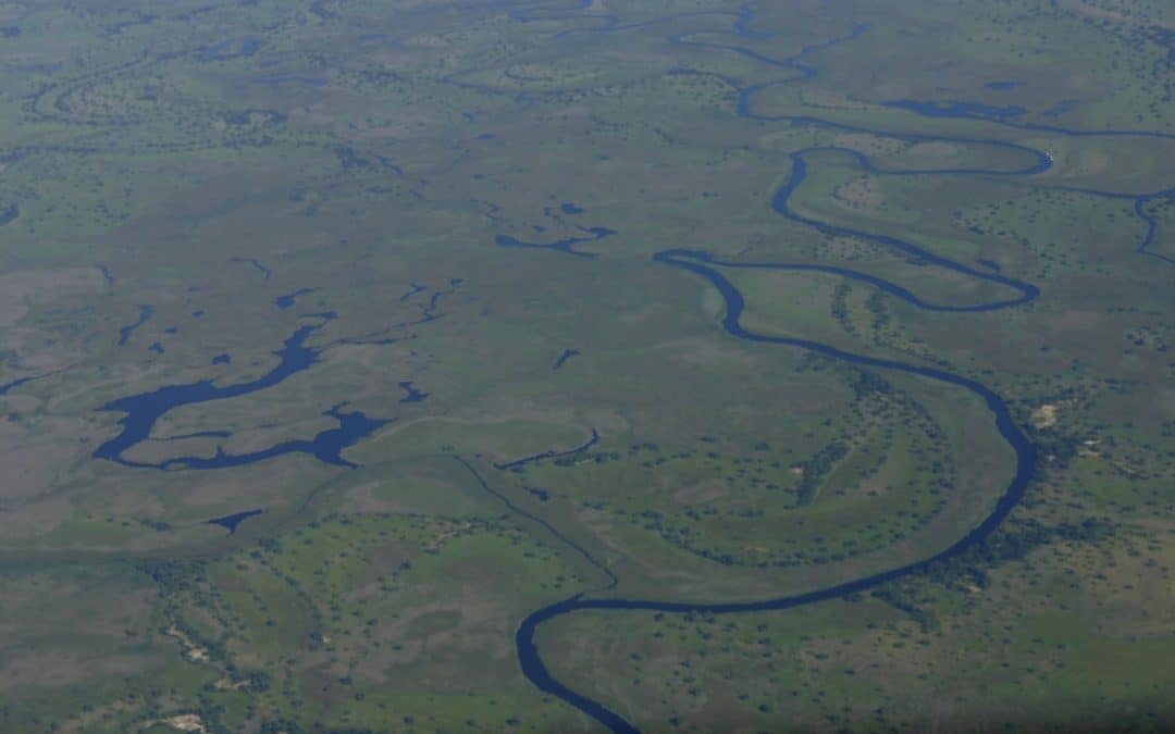 WWF: Startschuss für größtes Naturschutzgebiet Afrikas