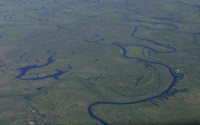 WWF: Startschuss für größtes Naturschutzgebiet Afrikas