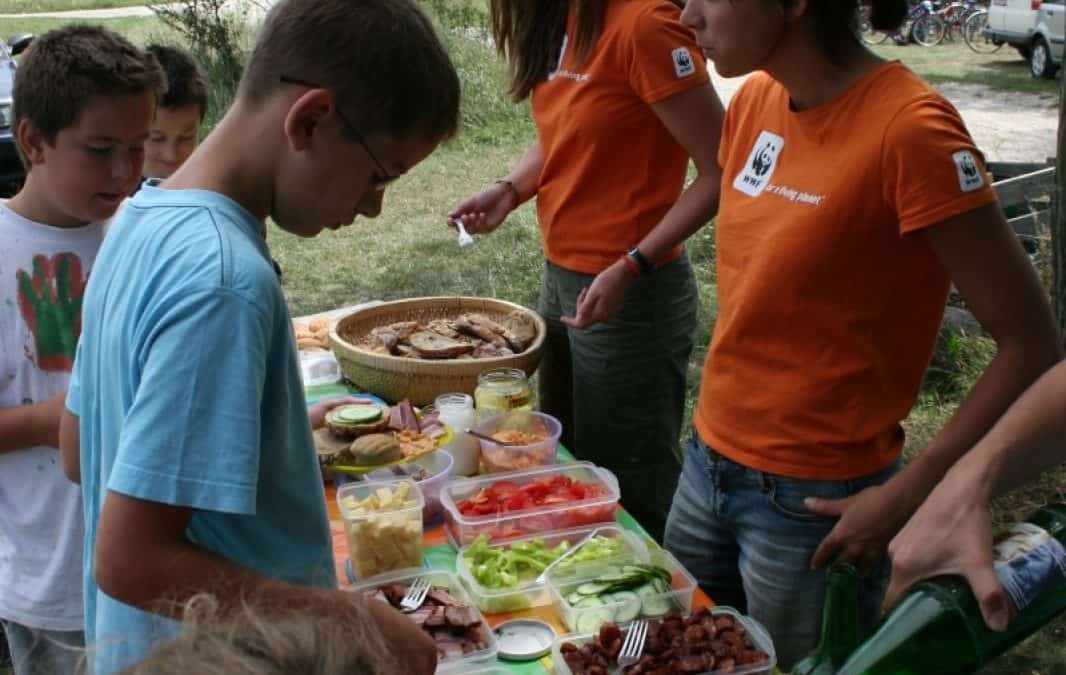 Umweltschutz zum Schmecken: Familienpicknicks im Burgenland