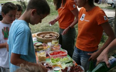 Umweltschutz zum Schmecken: Familienpicknicks im Burgenland