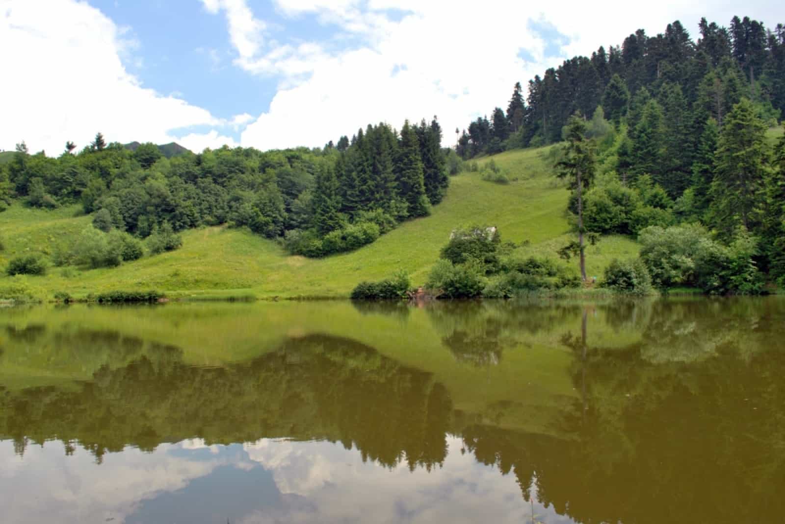 Fluss Rosia Montana (c) Attila Szocs, © by Attila Szocs Fluss Rosia Montana (c) Attila Szocs, © by Attila Szocs