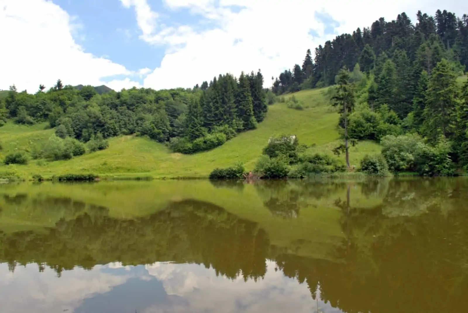 Fluss Rosia Montana (c) Attila Szocs, © by Attila Szocs Fluss Rosia Montana (c) Attila Szocs, © by Attila Szocs