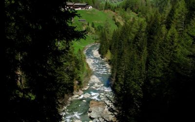 Kriterienkatalog Wasserkraft: WWF kritisiert Berlakovich