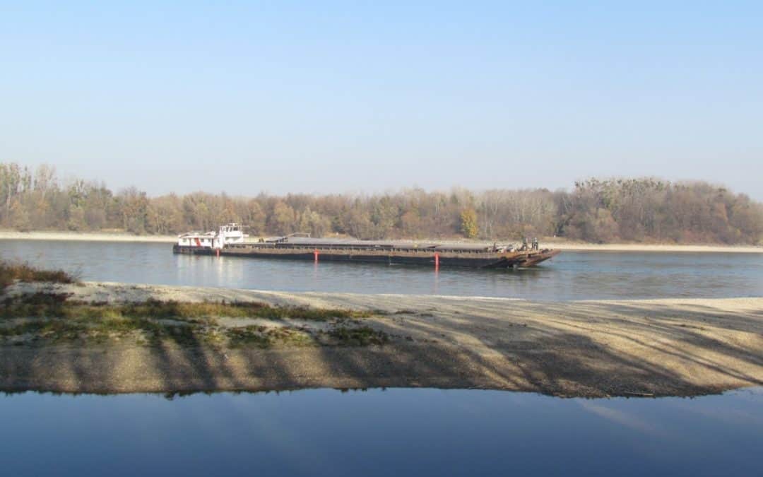 Schiffshavarie: WWF kritisiert Sicherheitsmängel bei Donauschiffen