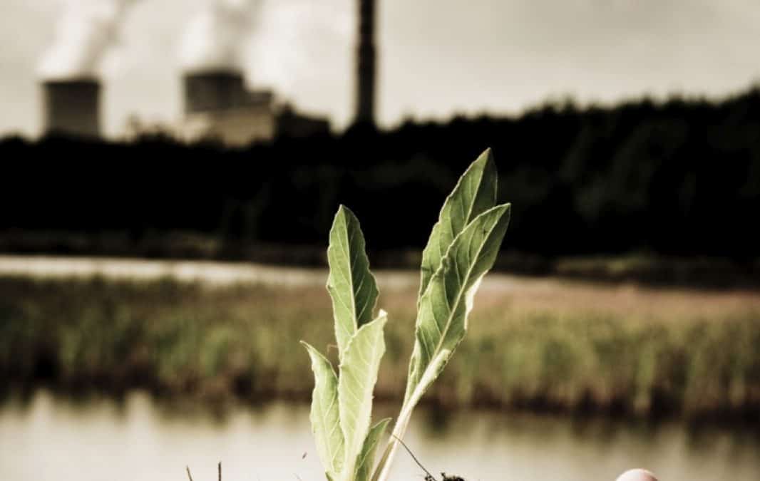 WWF-Investmentbewertungsmodell läutet neue Ära auf den Finanzmärkten ein