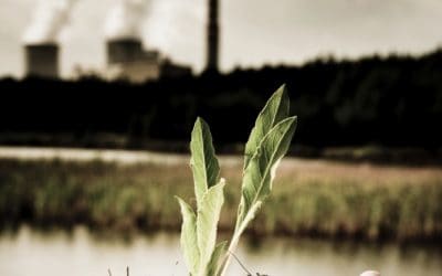 WWF-Investmentbewertungsmodell läutet neue Ära auf den Finanzmärkten ein