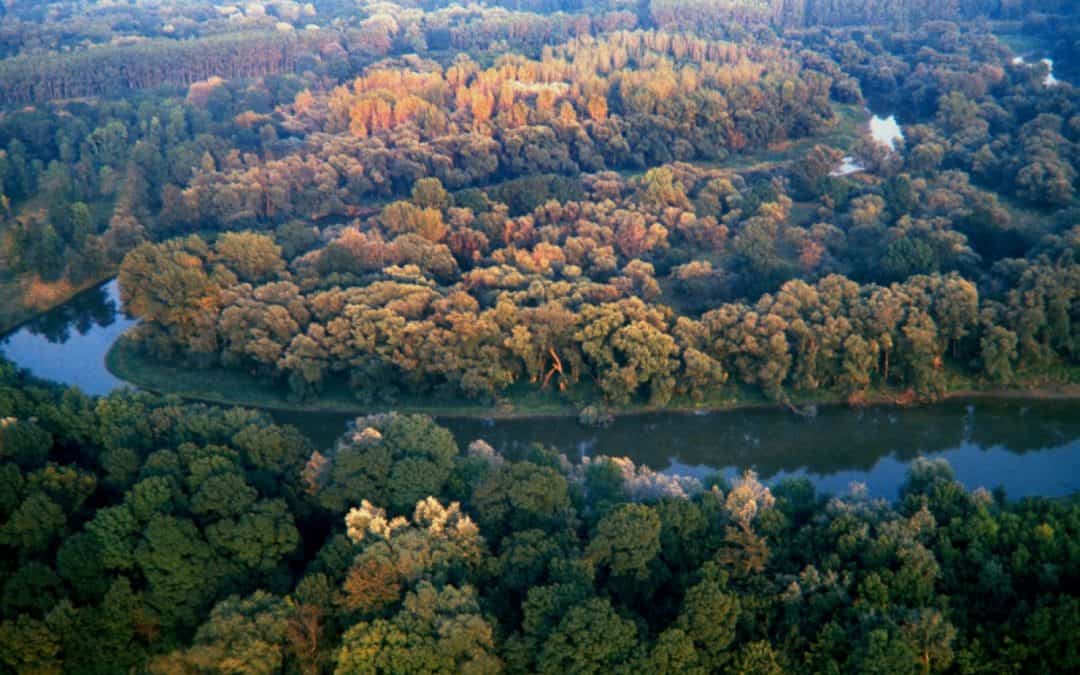 Lobautunnel untergräbt Naturparadiese und Klimaschutz
