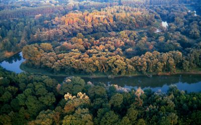 Lobautunnel untergräbt Naturparadiese und Klimaschutz